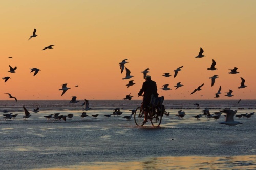 AGADIR - ESSAOUIRA